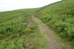 
Blorenge Tramroad towards the quarry, October 2010